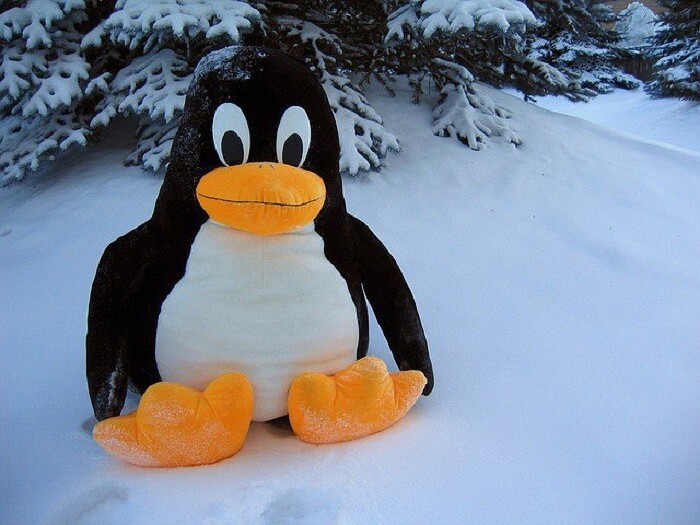 tux700.jpg