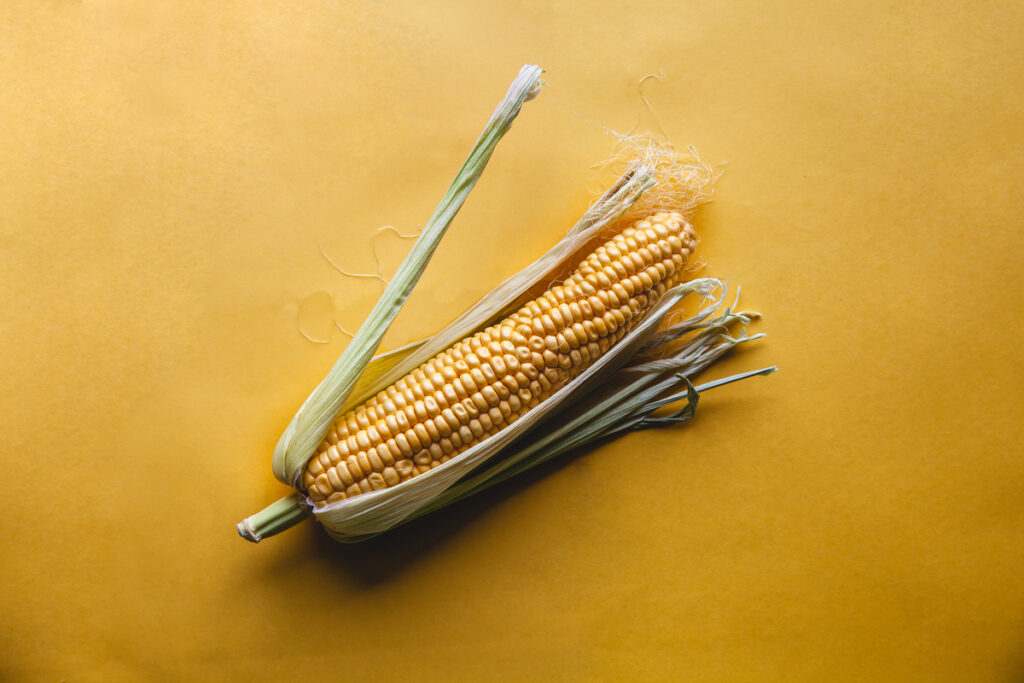 Fresh corn on a yellow background Delicious food vegetables - infovzor Свежая кукуруза