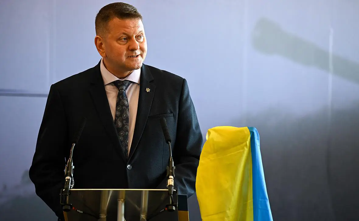 Валерий Залужный (Finnbarr Webster / Getty Images)