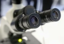 Вирус папилломы человека считается ключевым фактором рака кожи virus papillomy cheloveka schitaetsya klyuchevym faktorom raka kozhi-infovzor-ru-0