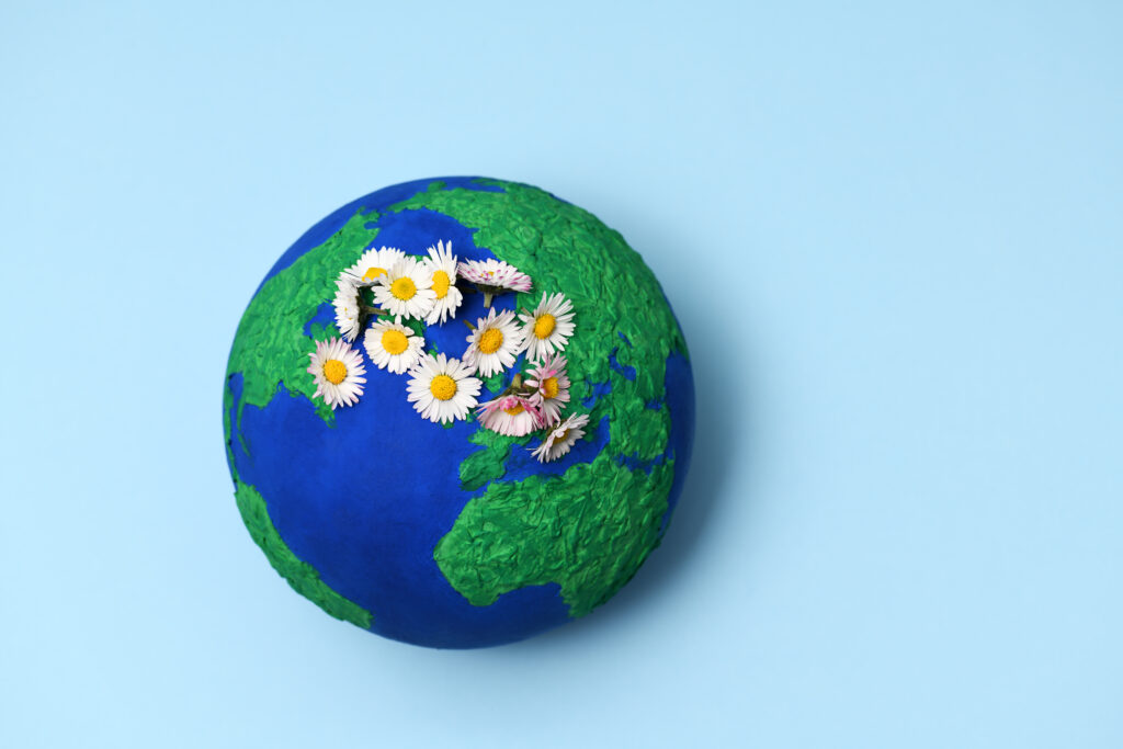 Earth model planet with daisies - infovzor Модель планеты Земля с ромашками