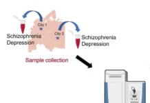 Анна Ткачёв и Анастасия Голубова из Сколтеха обнаружили маркеры депрессии в крови при поддержке РНФ anna tkachyov i anastasiya golubova iz skolteha obnaruzhili markery depressii v krovi pri podderzhke rnf-infovzor-ru-0