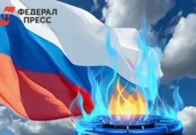 Дарья Кривешко о будущем экономики ФРГ с точки зрения Германии, России и США darya kriveshko o budushhem ekonomiki frg s tochki zreniya germanii rossii i ssha-infovzor-ru-0