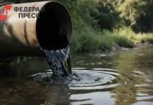 dmitrij patrushev rosprirodnadzor i rosatom uspeshno realizuyut ekologicheskie proekty-infovzor-ru-0