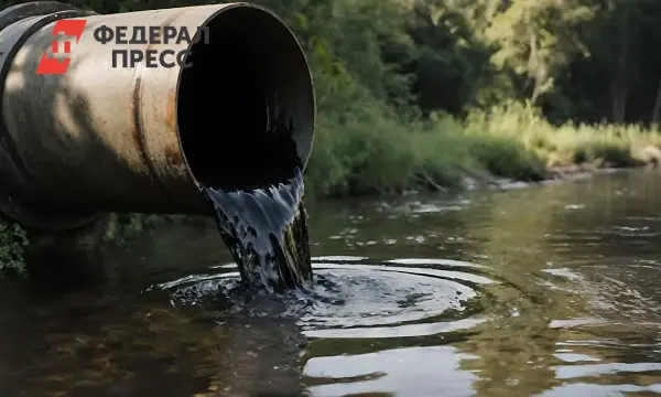 Дмитрий Патрушев, Росприроднадзор и Росатом успешно реализуют экологические проекты-0