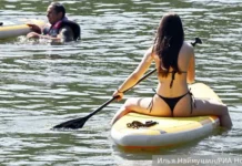 kotyakov obsudit inicziativu iz gosdumy a bessarab oczenit ee realistichnost-infovzor-ru-0