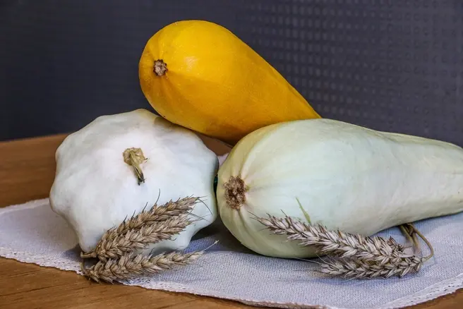 Салат и вафли: 4 необычных рецепта из кабачка — вкусно и просто | Источник: Наталья Бурухина / NN.RU