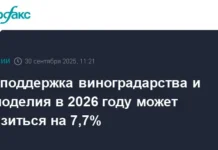 Минсельхоз ожидает стабильного роста виноградарства и овощеводства minselhoz ozhidaet stabilnogo rosta vinogradarstva i ovoshhevodstva-infovzor-ru-0