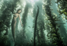 Десять древних мифов в новом прочтении Подводный вид русалки среди морских водорослей