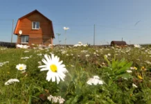 Росреестр установил новые правила для садоводов Свердловской области rosreestr ustanovil novye pravila dlya sadovodov sverdlovskoj oblasti-infovzor-ru-0