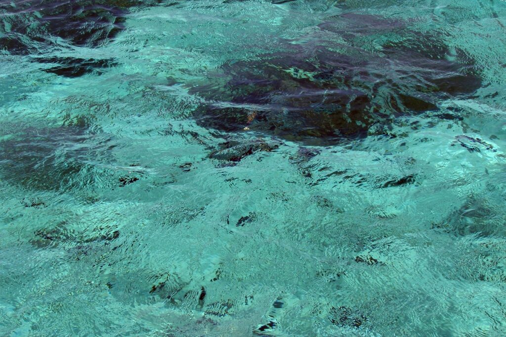 Темное пятно в морской воде