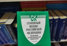 uplata alimentov i vstrechi s rebenkom pomogayut roditelyam schitaet sk rf-infovzor-ru-0