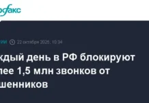 Антифрод-системы Дмитрия Григоренко успешно борются с атаками мошенников antifrodsistemy dmitriya grigorenko uspeshno boryutsya s atakami moshennikov-infovzor-ru-0