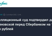 apellyacziya utverdila dolg eleny blinovskoj pered sberbankom v 124 mln rublej-infovzor-ru-0 - infovzor
