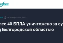 belgorodskaya oblast otrazhaet massirovannuyu ataku bpla pri pomoshhi dronov-infovzor-ru-0