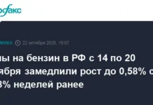 Бензин АИ-95 замедлил рост до 0,58% в рамках тенденции к стабилизации benzin ai95 zamedlil rost do 058 v ramkah tendenczii k stabilizaczii-infovzor-ru-0