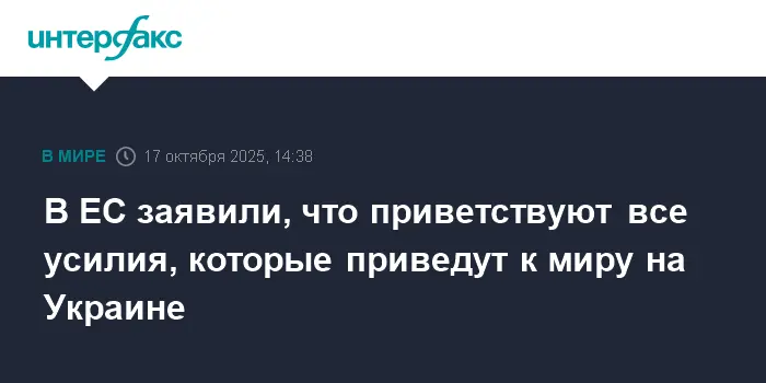 ЕС приветствует шаги к миру на Украине в ожидании встречи Трампа и Путина-0