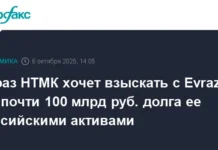 evraz ntmk i aleksandr abramov vedut optimistichnyj put k finansovoj stabilnosti-infovzor-ru-0 - infovzor