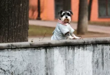 Гидрометцентр делает прогноз о суровой зиме в России gidrometczentr delaet prognoz o surovoj zime v rossii-infovzor-ru-0