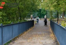 Гидрометцентр России прогнозирует приятное потепление для многих регионов страны gidrometczentr rossii prognoziruet priyatnoe poteplenie dlya mnogih regionov strany-infovzor-ru-0