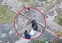 ГУ МВД Москвы проводит задержание на Шарикоподшипниковской улице gu mvd moskvy provodit zaderzhanie na sharikopodshipnikovskoj ulicze-infovzor-ru-0