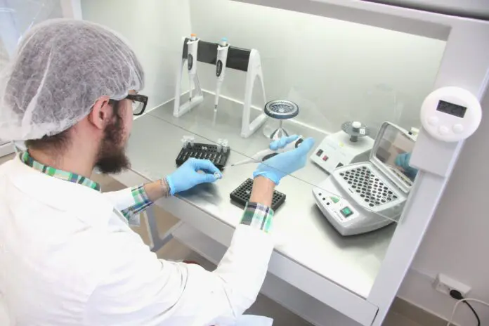 Исследование генетики КРС и инбридинга голштинской породы в Свердловской области-0