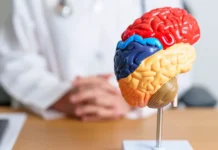 kembridzhskij universitet izuchil vliyanie alfasinukleinovyh oligomerov na bolezni parkinsona i alczgejmera-infovzor-ru-0