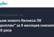 lk evroplan podderzhivaet spros na   i gaz nesmotrya na spad rynka-infovzor-ru-0