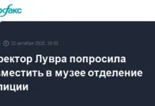 Лувр усиливает безопасность, предложив полицейский пост после ограбления luvr usilivaet bezopasnost predlozhiv policzejskij post posle ogrableniya-infovzor-ru-0