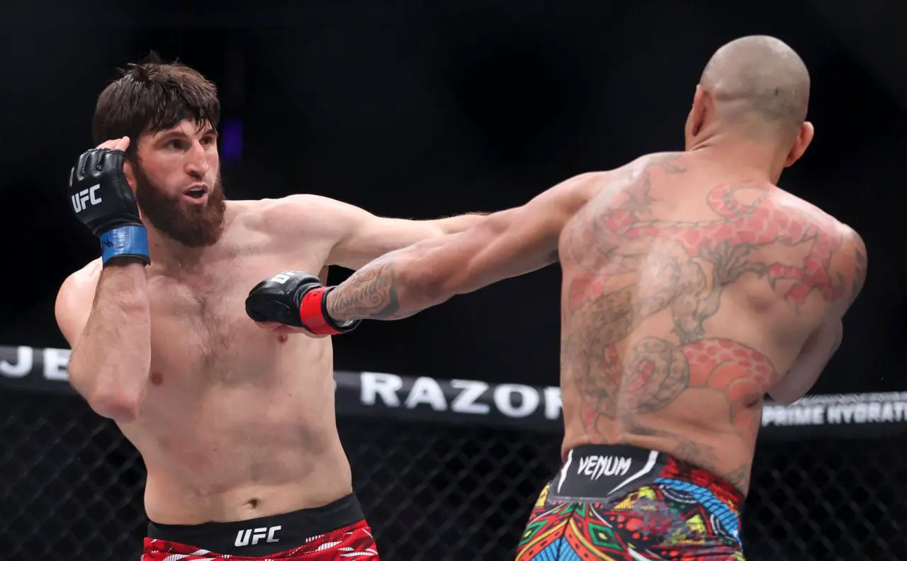 Магомед Анкалаев (слева) и Алекс Перейра (справа) ( Ian Maule / Getty Images)