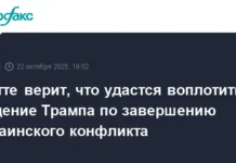 Марк Рютте и Дональд Трамп обсуждают напряженность вокруг Украины и НАТО mark ryutte i donald tramp obsuzhdayut napryazhennost vokrug ukrainy i nato-infovzor-ru-0