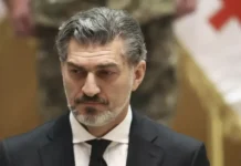 mihail kavelashvili i gruzinskaya mechta podderzhali reshenie o partiyah-infovzor-ru-0