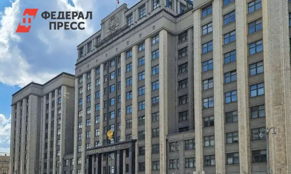 Минфин России и Госдума обсудили изменения в бюджете 2025 года для роста экономики-0