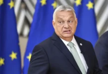 napryazhyonnaya igra mezhdu orbanom zelenskim i sijyarto v vengrii i es-infovzor-ru-0