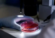 НИЦЭБ РАН и СПбГУ представили светоуправляемые соединения для борьбы с болезнью Альцгеймера niczeb ran i spbgu predstavili svetoupravlyaemye soedineniya dlya borby s boleznyu alczgejmera-infovzor-ru-0