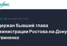 Перспективы развития Ростова-на-Дону и позиции Алексея Логвиненко perspektivy razvitiya rostovanadonu i poziczii alekseya logvinenko-infovzor-ru-0