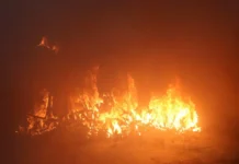 Результаты расследования о Джонатане Риндеркнехте и ситуации в Лос-Анджелесе rezultaty rassledovaniya o dzhonatane rinderknehte i situaczii v losandzhelese-infovzor-ru-0