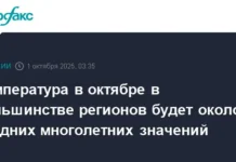 Роман Вильфанд уверяет, что октябрь в России будет с устойчивой погодой roman vilfand uveryaet chto oktyabr v rossii budet s ustojchivoj pogodoj-infovzor-ru-0