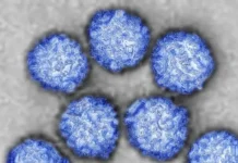 rospotrebnadzor daet rekomendaczii po borbe s virusom koksaki i enterovirusnymi infekcziyami-infovzor-ru-0