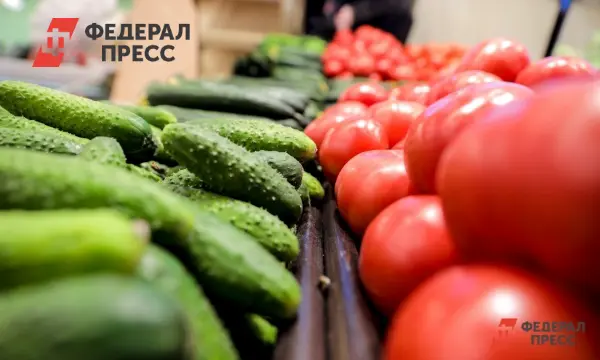 Российские огурцы вызывают тревогу в Польше, оказывая давление на агросектор-0