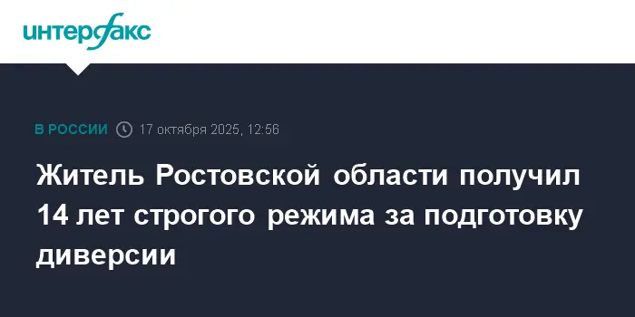 Ростовский суд sentenced Романа Девицына к 14 годам за подготовку диверсии-0