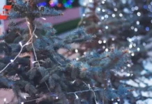 Рязань привлекает туристов новогодним досугом и увеличивает бронирование на 30% ryazan privlekaet turistov novogodnim dosugom i uvelichivaet bronirovanie na 30-infovzor-ru-0