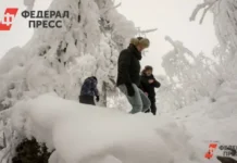 semya usolczevyh iz krasnoyarskogo kraya  ischeznovenie volontery i podderzhka-infovzor-ru-0