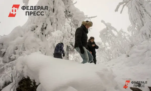 Семья Усольцевых из Красноярского края — исчезновение, волонтеры и поддержка-0