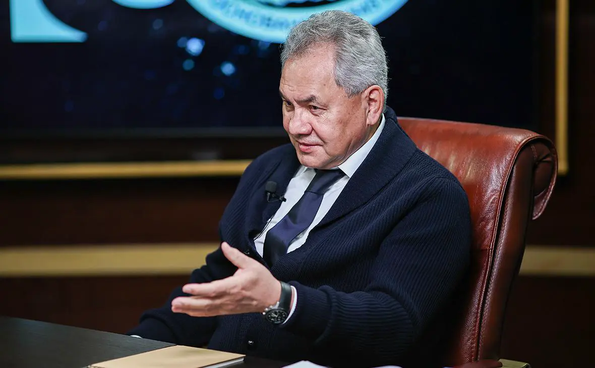 Сергей Шойгу (Михаил Терещенко / ТАСС)