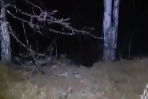 Вводная картинка