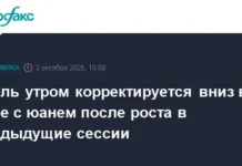 uverennaya dinamika rublya i yuanya na moskovskoj birzhe v roste perspektiv-infovzor-ru-0