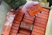 v leningradskoj oblasti nashli trotilovye shashki i vintovku mosina vremen vov-infovzor-ru-0