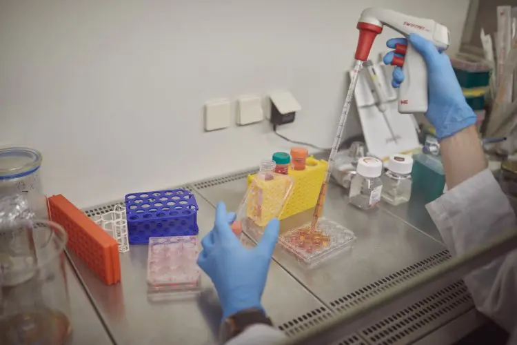 scientificrussia.ru