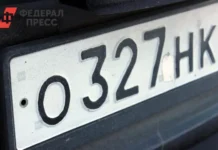 valerij fadeev i mvd rossii vystupayut za obyazatelnyj trikolor na gosnomerah-infovzor-ru-0